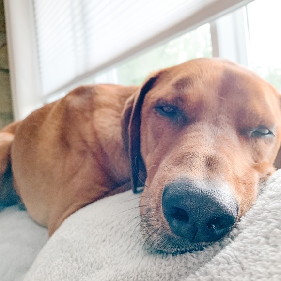 Meet your Posher, Claire - Picture 1 of 1